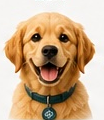 Balo, the Balen mascot