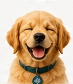 Balo, the Balen mascot