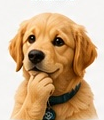 Balo, the Balen mascot